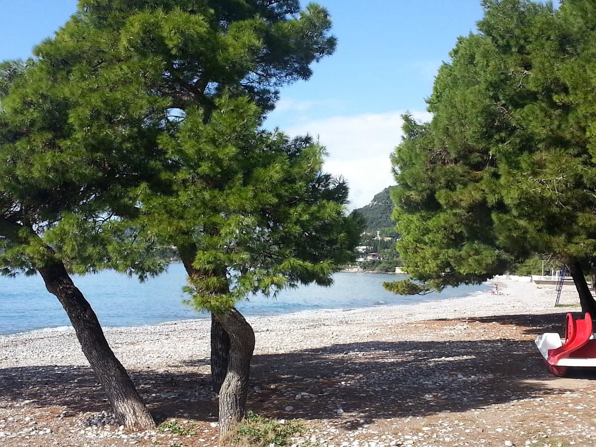 Апартаменты Apartment Dasic Бар-27